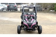 FORZA 1 K1 Dune Buggy 163CC 5.5HP Off Road UTV ATV 2 Seater 4 Wheel Go kart REV PINK