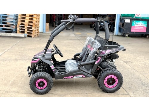 FORZA 1 K1 Dune Buggy 163CC 5.5HP Off Road UTV ATV 2 Seater 4 Wheel Go kart REV PINK