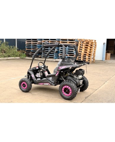 FORZA 1 K1 Dune Buggy 163CC 5.5HP Off Road UTV ATV 2 Seater 4 Wheel Go kart REV PINK