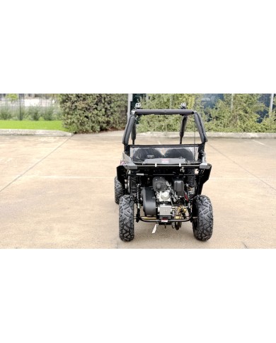 FORZA 1 K1 Dune Buggy 163CC 5.5HP Off Road UTV ATV 2 Seater 4 Wheel Go kart REV PINK