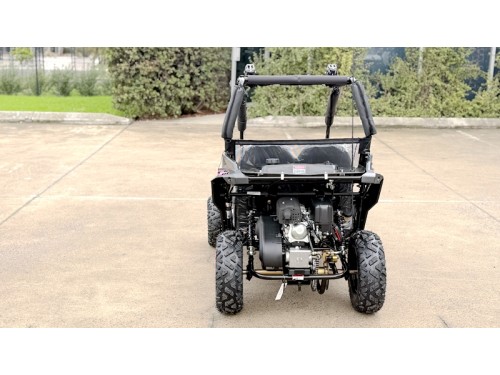 FORZA 1 K1 Dune Buggy 163CC 5.5HP Off Road UTV ATV 2 Seater 4 Wheel Go kart REV PINK