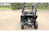 FORZA 1 K1 Dune Buggy 163CC 5.5HP Off Road UTV ATV 2 Seater 4 Wheel Go kart REV PINK
