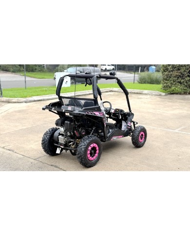 FORZA 1 K1 Dune Buggy 163CC 5.5HP Off Road UTV ATV 2 Seater 4 Wheel Go kart REV PINK