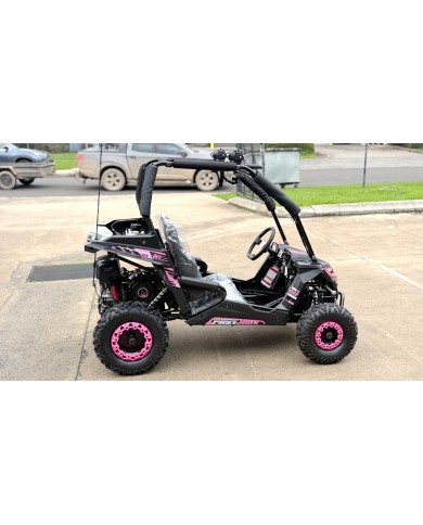 FORZA 1 K1 Dune Buggy 163CC 5.5HP Off Road UTV ATV 2 Seater 4 Wheel Go kart REV PINK