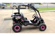 FORZA 1 K1 Dune Buggy 163CC 5.5HP Off Road UTV ATV 2 Seater 4 Wheel Go kart REV PINK