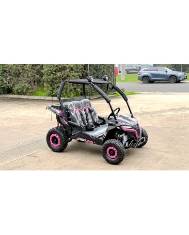 FORZA 1 K1 Dune Buggy 163CC 5.5HP Off Road UTV ATV 2 Seater 4 Wheel Go kart REV PINK