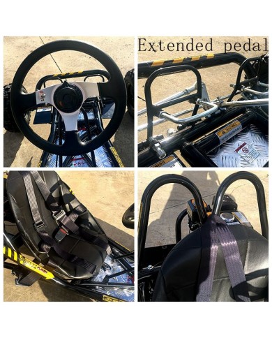 200CC 6.5HP Go Kart Dune Buggy QUAD 4 Stroke Upgraded Adult/Kids Sizes