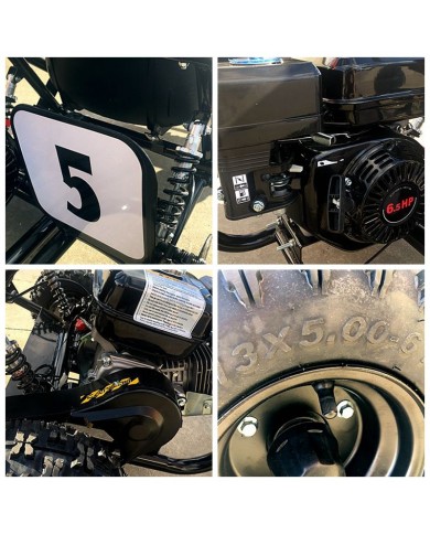 200CC 6.5HP Go Kart Dune Buggy QUAD 4 Stroke Upgraded Adult/Kids Sizes