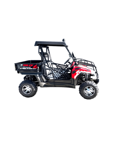 200cc Farm UTV with Manual Dump Bed WorkHorse 200 EFI Alloy Rim Hard Plastic Roof Led Lights Windscreen