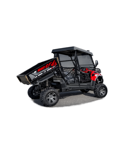 200cc Farm UTV with Manual Dump Bed WorkHorse 200 EFI Alloy Rim Hard Plastic Roof Led Lights Windscreen