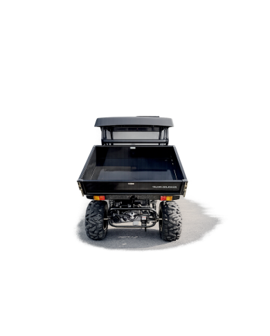 200cc Farm UTV with Manual Dump Bed WorkHorse 200 EFI Alloy Rim Hard Plastic Roof Led Lights Windscreen