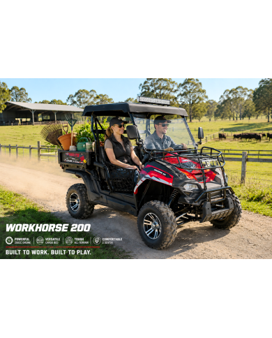 200cc Farm UTV with Manual Dump Bed WorkHorse 200 EFI Alloy Rim Hard Plastic Roof Led Lights Windscreen