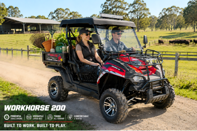 200cc Farm UTV with Manual Dump Bed WorkHorse 200 EFI Alloy Rim Hard Plastic Roof Led Lights Windscreen