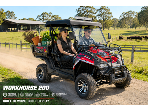 200cc Farm UTV with Manual Dump Bed WorkHorse 200 EFI Alloy Rim Hard Plastic Roof Led Lights Windscreen