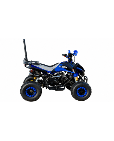 RANGER 125 125CC ATV Sport Quad Dirt Bike 4 Wheel Buggy Go kart Rear Rack Semi Auto 3+1 Blue