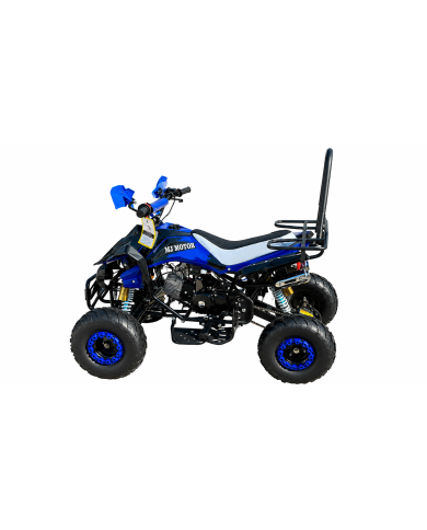 RANGER 125 125CC ATV Sport Quad Dirt Bike 4 Wheel Buggy Go kart Rear Rack Semi Auto 3+1 Blue