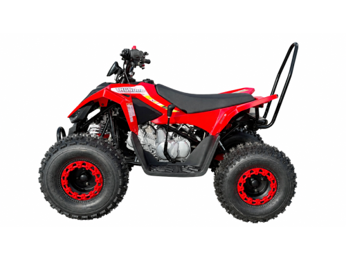 150CC ATV Sport Quad 4 Wheel Buggy Semi Auto ZOOMER red kids Adults Off-road