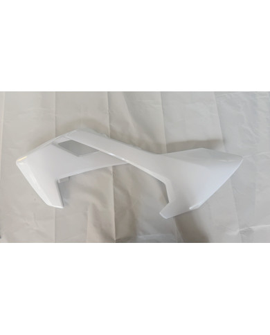 White Plastics Guard Fairing Fender Kit  125cc PIT PRO Dirt Bike Dingo