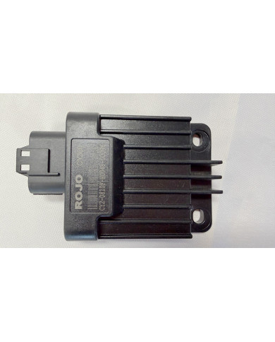 ECU EFI Electrionic Fuel Injection ROJO CY300 200CC 300CC BUGGY UTV EFI