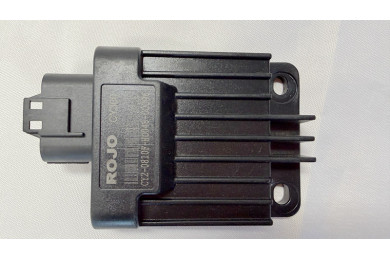 ECU EFI Electrionic Fuel Injection ROJO CY300 200CC 300CC BUGGY UTV EFI