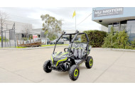 FORZA 1 K1 Dune Buggy 163CC 5.5HP Off Road UTV ATV 2 Seater 4 Wheel Go kart REV Green