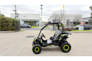 FORZA 1 K1 Dune Buggy 163CC 5.5HP Off Road UTV ATV 2 Seater 4 Wheel Go kart REV Green
