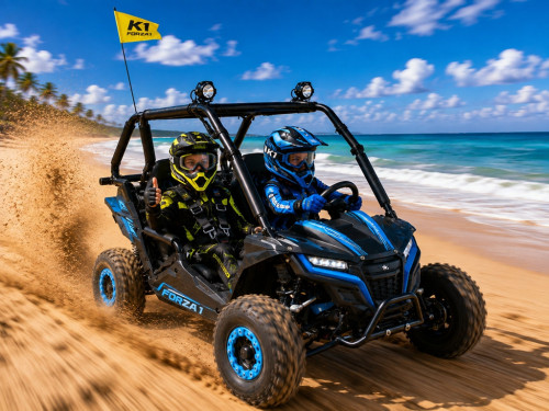 FORZA 1 K1 Dune Buggy 163CC 5.5HP Off Road UTV ATV 2 Seater 4 Wheel Go kart REV BLUE