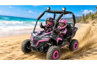 FORZA 1 K1 Dune Buggy 163CC 5.5HP Off Road UTV ATV 2 Seater 4 Wheel Go kart REV PINK