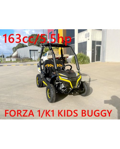FORZA 1 K1 Dune Buggy 163CC 5.5HP Off Road UTV ATV 2 Seater 4 Wheel Go kart REVERSE YELLOW