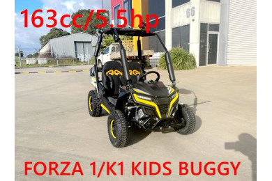 FORZA 1 K1 Dune Buggy 163CC 5.5HP Off Road UTV ATV 2 Seater 4 Wheel Go kart REVERSE YELLOW