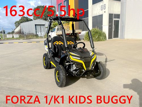 FORZA 1 K1 Dune Buggy 163CC 5.5HP Off Road UTV ATV 2 Seater 4 Wheel Go kart REVERSE YELLOW