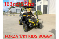 FORZA 1 K1 Dune Buggy 163CC 5.5HP Off Road UTV ATV 2 Seater 4 Wheel Go kart REVERSE YELLOW