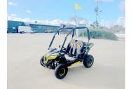 FORZA 1 K1 Dune Buggy 163CC 5.5HP Off Road UTV ATV 2 Seater 4 Wheel Go kart REVERSE YELLOW