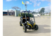 FORZA 1 K1 Dune Buggy 163CC 5.5HP Off Road UTV ATV 2 Seater 4 Wheel Go kart REVERSE YELLOW