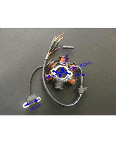 6 Coil Pole Magneto Flywheel Stator 110cc 125cc PIT Quad Dirt Bike ATV Buggy 6 Coil Pole Magneto Flywheel Stator 110cc 125cc PIT Quad Dirt Bike ATV Buggy