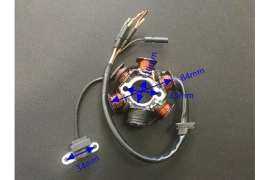 6 Coil Pole Magneto Flywheel Stator 110cc 125cc PIT Quad Dirt Bike ATV Buggy 6 Coil Pole Magneto Flywheel Stator 110cc 125cc PIT Quad Dirt Bike ATV Buggy