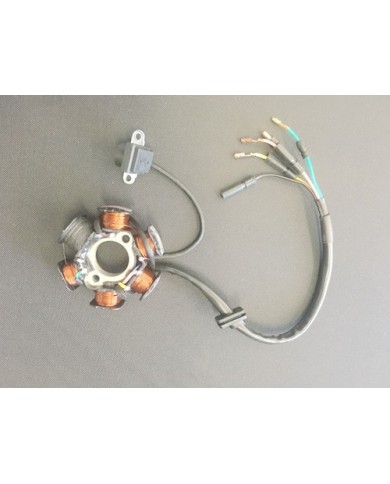 6 Coil Pole Magneto Flywheel Stator 110cc 125cc PIT Quad Dirt Bike ATV Buggy 6 Coil Pole Magneto Flywheel Stator 110cc 125cc PIT Quad Dirt Bike ATV Buggy