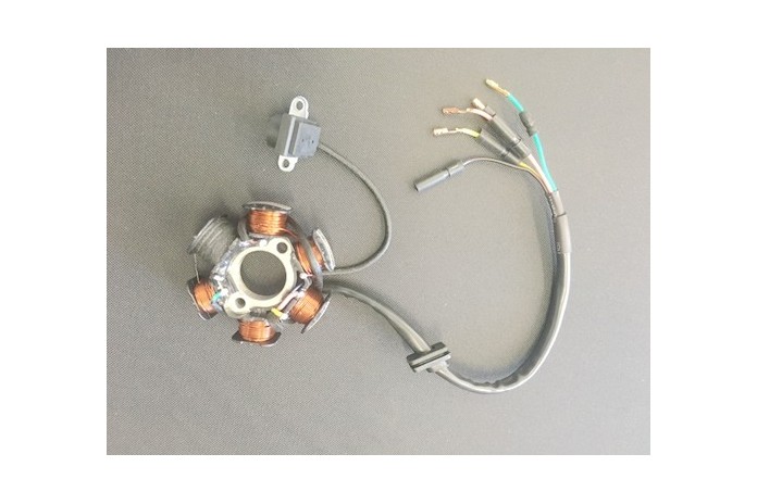 Stator de magnéto Stator Magnéto, Stator Magnéto 6 Bobines Générateur 5