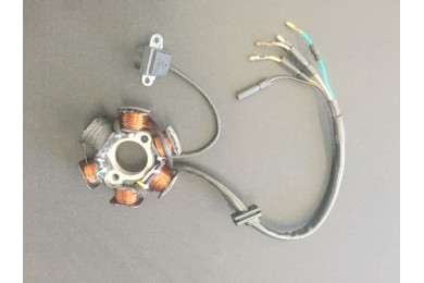 6 Coil Pole Magneto Flywheel Stator 110cc 125cc PIT Quad Dirt Bike ATV Buggy 6 Coil Pole Magneto Flywheel Stator 110cc 125cc PIT Quad Dirt Bike ATV Buggy