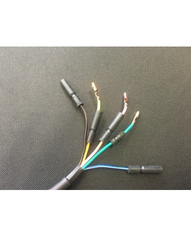 6 Coil Pole Magneto Flywheel Stator 110cc 125cc PIT Quad Dirt Bike ATV Buggy 6 Coil Pole Magneto Flywheel Stator 110cc 125cc PIT Quad Dirt Bike ATV Buggy