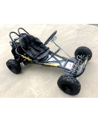 200cc 6.5HP Go Kart Wet Clutch Dune Buggy ATV Quad 4 Stroke Adult/Teen/Kid Sizes