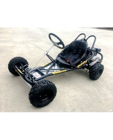 200cc 6.5HP Go Kart Wet Clutch Dune Buggy ATV Quad 4 Stroke Adult/Teen/Kid Sizes