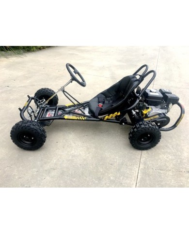 200cc 6.5HP Go Kart Wet Clutch Dune Buggy ATV Quad 4 Stroke Adult/Teen/Kid Sizes