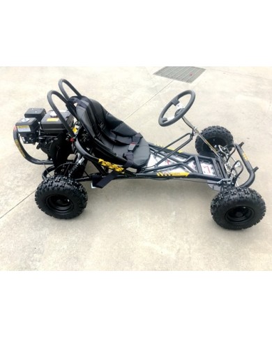 200cc 6.5HP Go Kart Wet Clutch Dune Buggy ATV Quad 4 Stroke Adult/Teen/Kid Sizes
