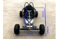200cc 6.5HP Go Kart Wet Clutch Dune Buggy ATV Quad 4 Stroke Adult/Teen/Kid Sizes