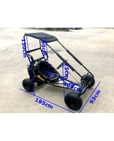 200cc 6.5HP Go Kart Wet Clutch Dune Buggy ATV Quad 4 Stroke Top Roll Cage