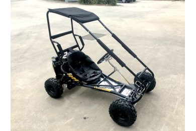 200cc 6.5HP Go Kart Wet Clutch Dune Buggy ATV Quad 4 Stroke Top Roll Cage 200cc 6.5HP Go Kart Wet Clutch Dune Buggy ATV Quad 4 Stroke Top Roll Cage