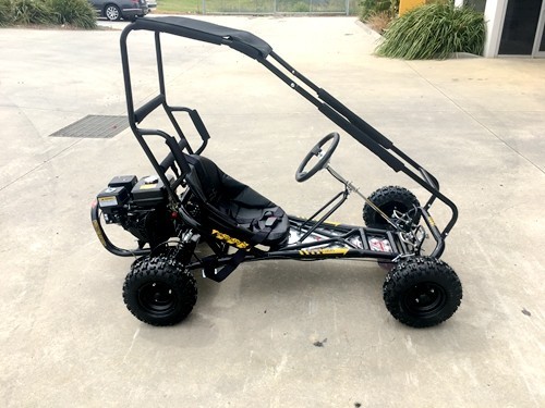 200cc 6.5HP Go Kart Wet Clutch Dune Buggy ATV Quad 4 Stroke Top Roll Cage