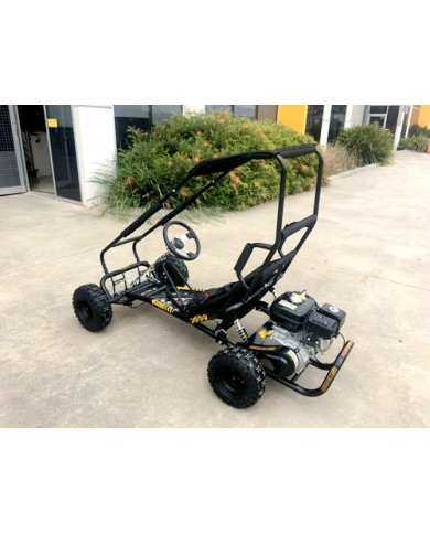 200cc 6.5HP Go Kart Wet Clutch Dune Buggy ATV Quad 4 Stroke Top Roll Cage