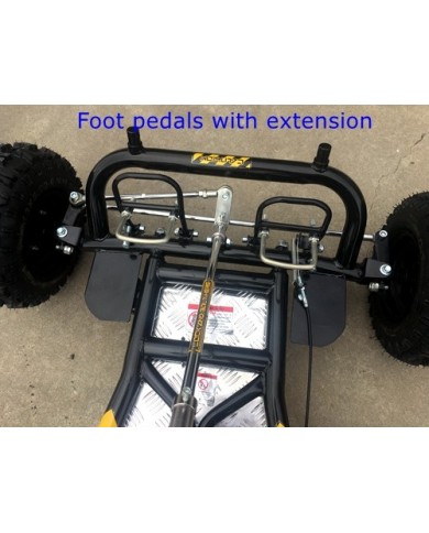 200cc 6.5HP Go Kart Wet Clutch Dune Buggy ATV Quad 4 Stroke Top Roll Cage